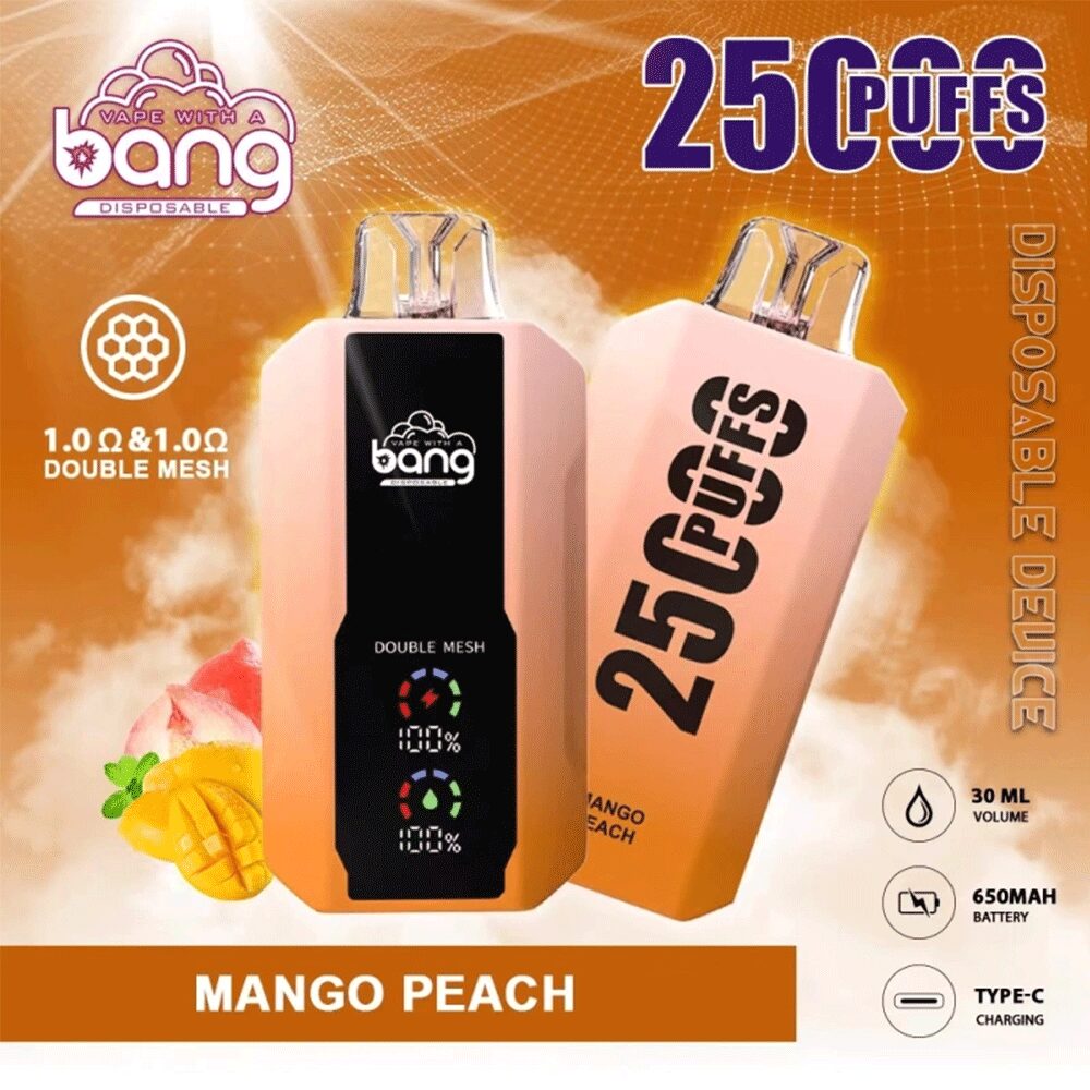 Bang 25000 Puffs, Disposable Vape E-cigarettes, 12 Kinds of Fruits Flavors, 25ml Capacity, 650 MAH Battery, Type C Rechargeable