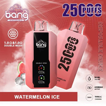 Bang 25000 Puffs, Disposable Vape E-cigarettes, 12 Kinds of Fruits Flavors, 25ml Capacity, 650 MAH Battery, Type C Rechargeable