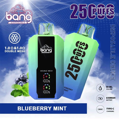 Bang 25000 Puffs, Disposable Vape E-cigarettes, 12 Kinds of Fruits Flavors, 25ml Capacity, 650 MAH Battery, Type C Rechargeable