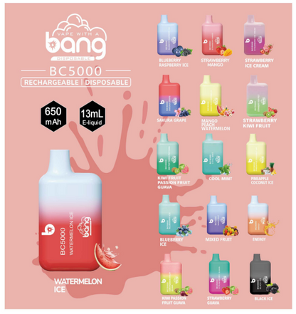 Bang 5000 Puffs, Disposable Vape E-cigarettes, 15 Kinds of Fruits Flavors, 13ml Capacity, 650 MAH Battery, Type C Rechargeable