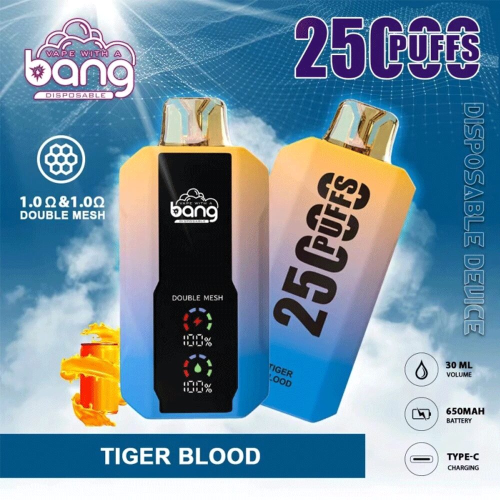 Bang 25000 Puffs, Disposable Vape E-cigarettes, 12 Kinds of Fruits Flavors, 25ml Capacity, 650 MAH Battery, Type C Rechargeable