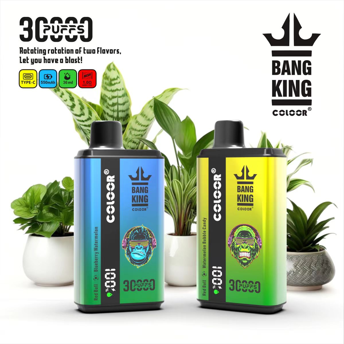 Bang King 30000 Puffs, One Vape, Two Flavors, Disposable Vape E-cigarettes, 12 Kinds of Fruits Flavors, 36ml Capacity, 550 MAH Battery, Type C Rechargeable